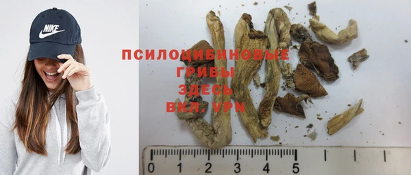 ГАЛЛЮЦИНОГЕННЫЕ ГРИБЫ Алексин