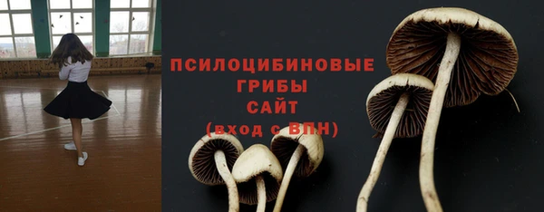 ГАЛЛЮЦИНОГЕННЫЕ ГРИБЫ Алексин