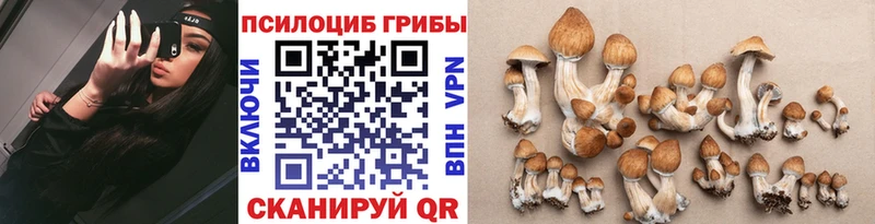 где купить наркоту  Малоархангельск  Псилоцибиновые грибы мицелий 